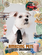 Amazing Pets: 2025 Wall Calendar (Pre-Order)