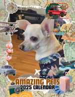 Amazing Pets: 2025 Wall Calendar (Pre-Order)