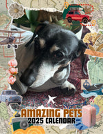Amazing Pets: 2025 Wall Calendar (Pre-Order)