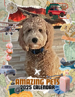 Amazing Pets: 2025 Wall Calendar (Pre-Order)