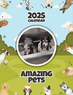 Amazing Pets: 2025 Wall Calendar (Pre-Order)