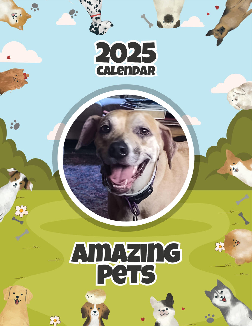 Amazing Pets: 2025 Wall Calendar (Pre-Order)