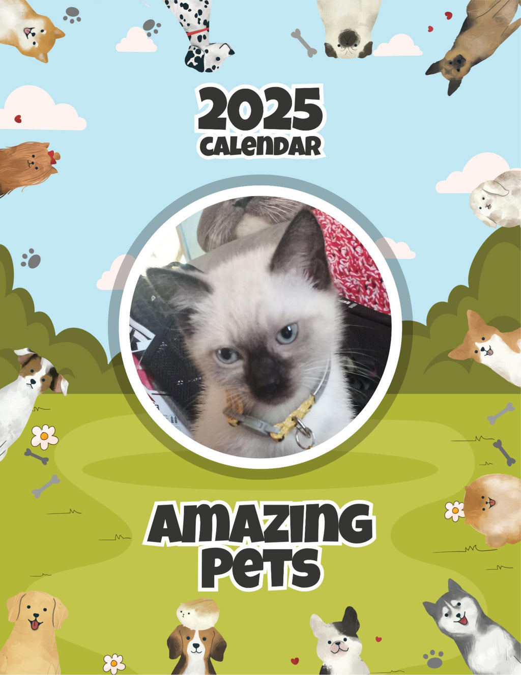 Amazing Pets: 2025 Wall Calendar (Pre-Order)
