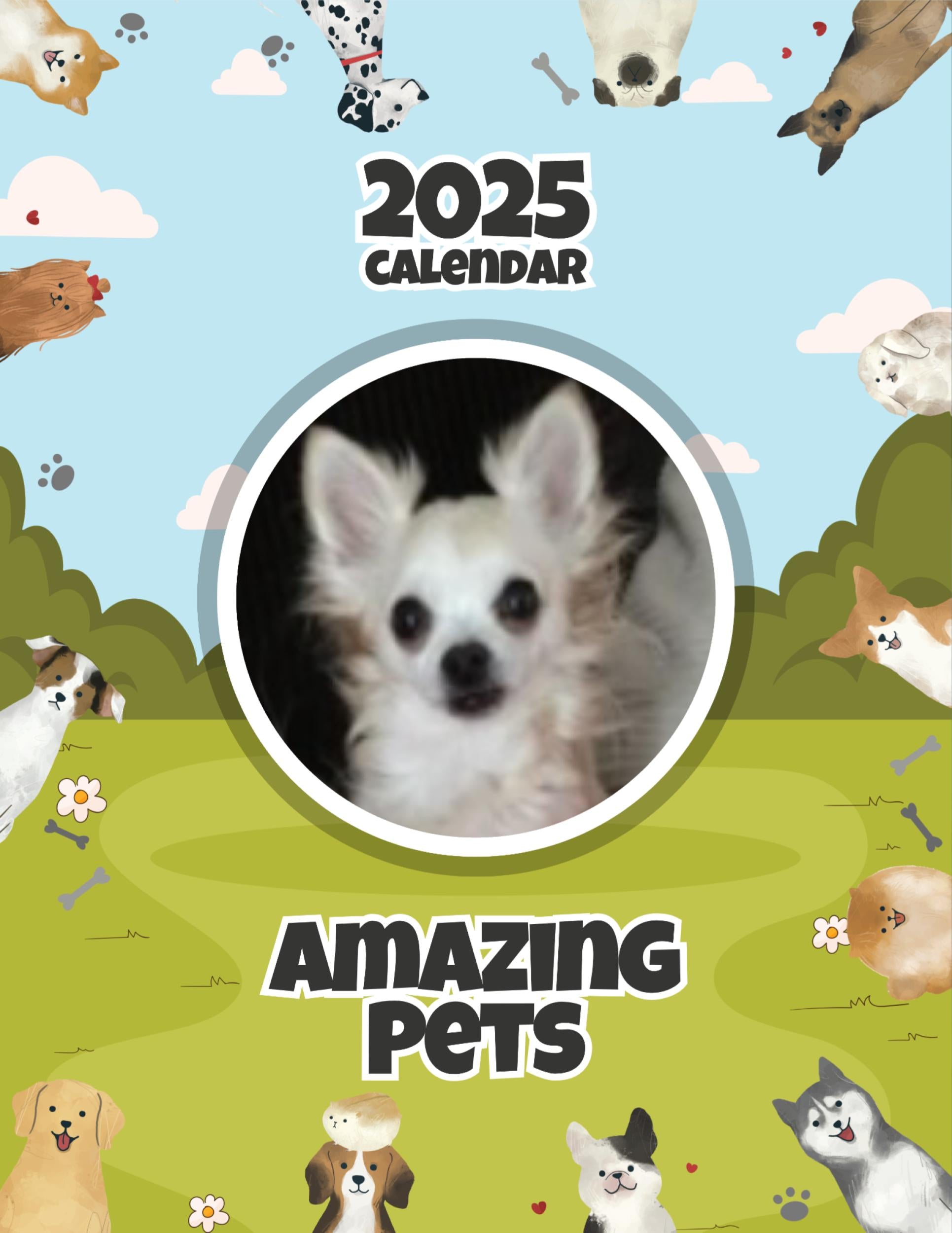 Amazing Pets: 2025 Wall Calendar (Pre-Order)