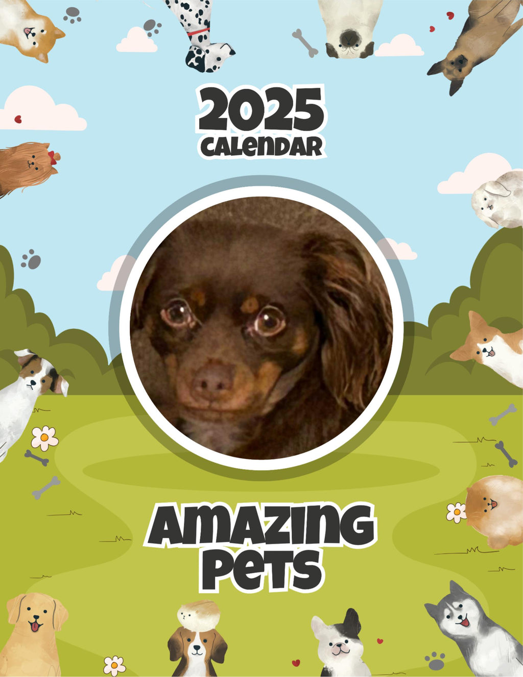 Amazing Pets: 2025 Wall Calendar (Pre-Order)