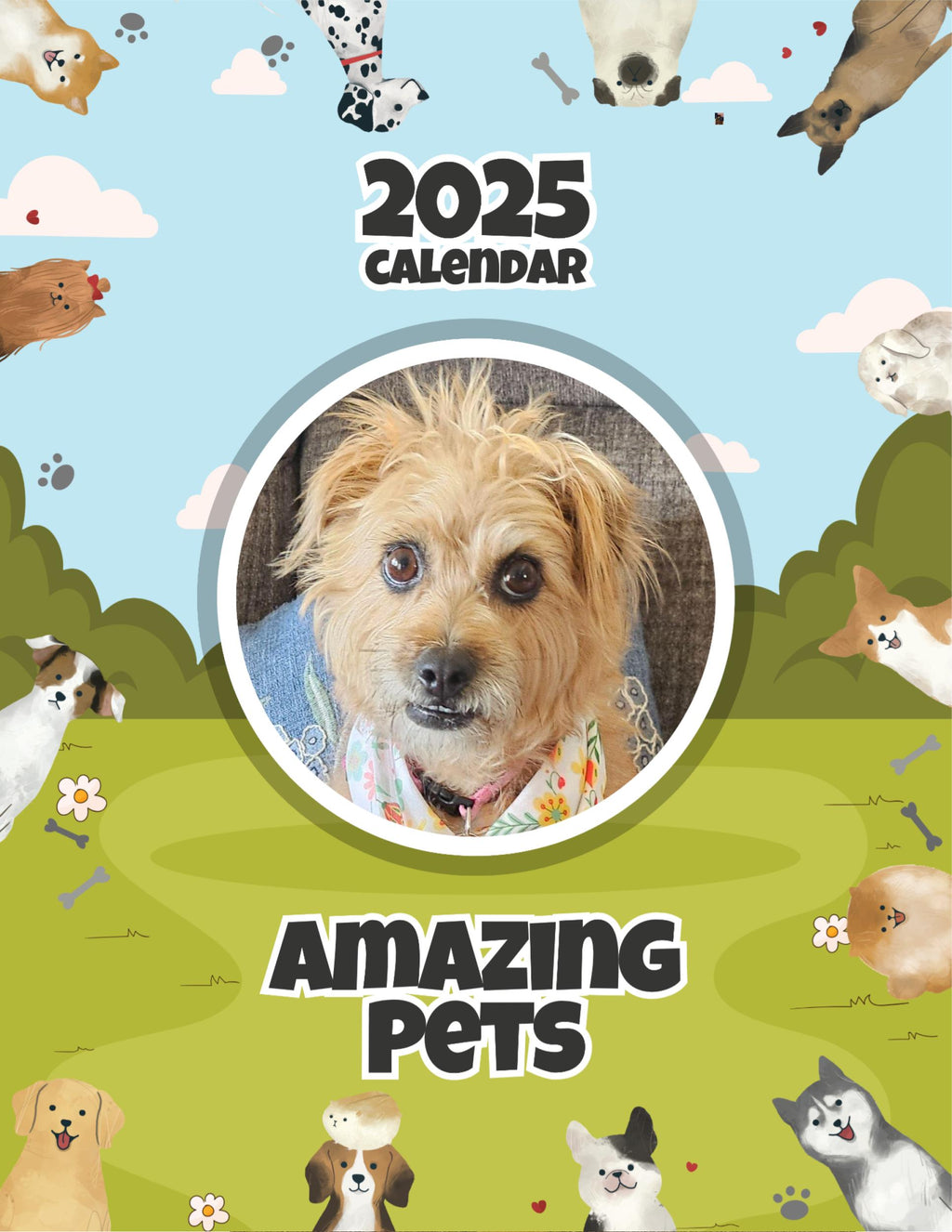 Amazing Pets: 2025 Wall Calendar (Pre-Order)