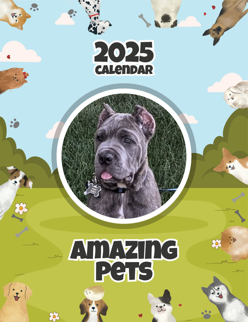 Amazing Pets: 2025 Wall Calendar (Pre-Order)