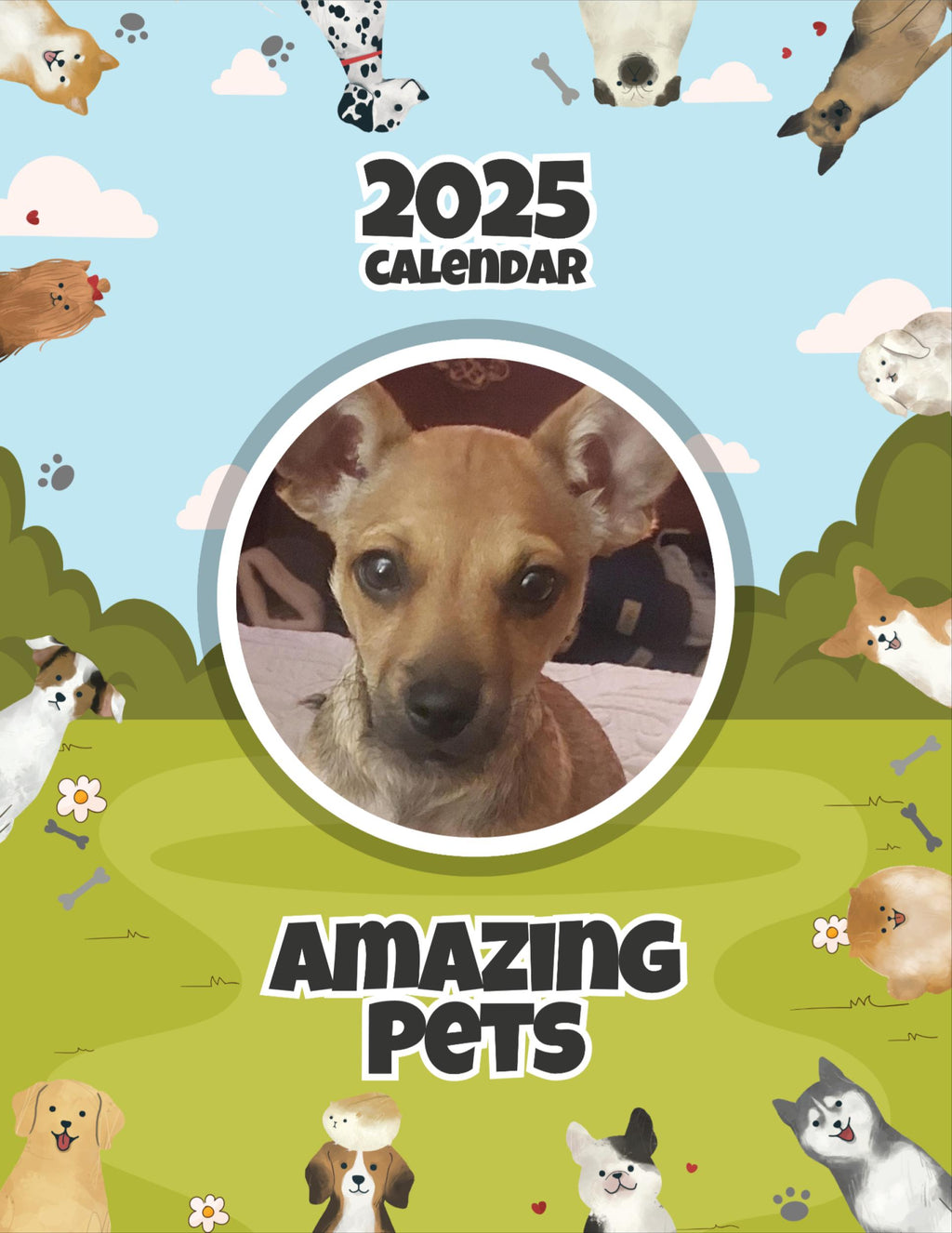 Amazing Pets: 2025 Wall Calendar (Pre-Order)