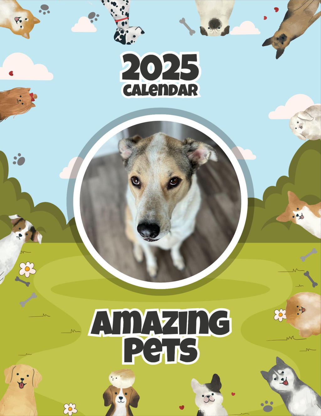 Amazing Pets: 2025 Wall Calendar (Pre-Order)