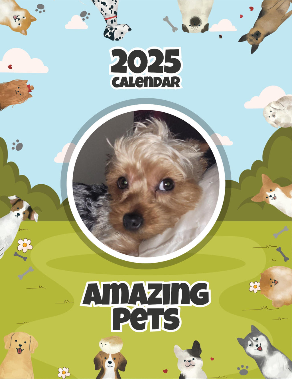 Amazing Pets: 2025 Wall Calendar (Pre-Order)