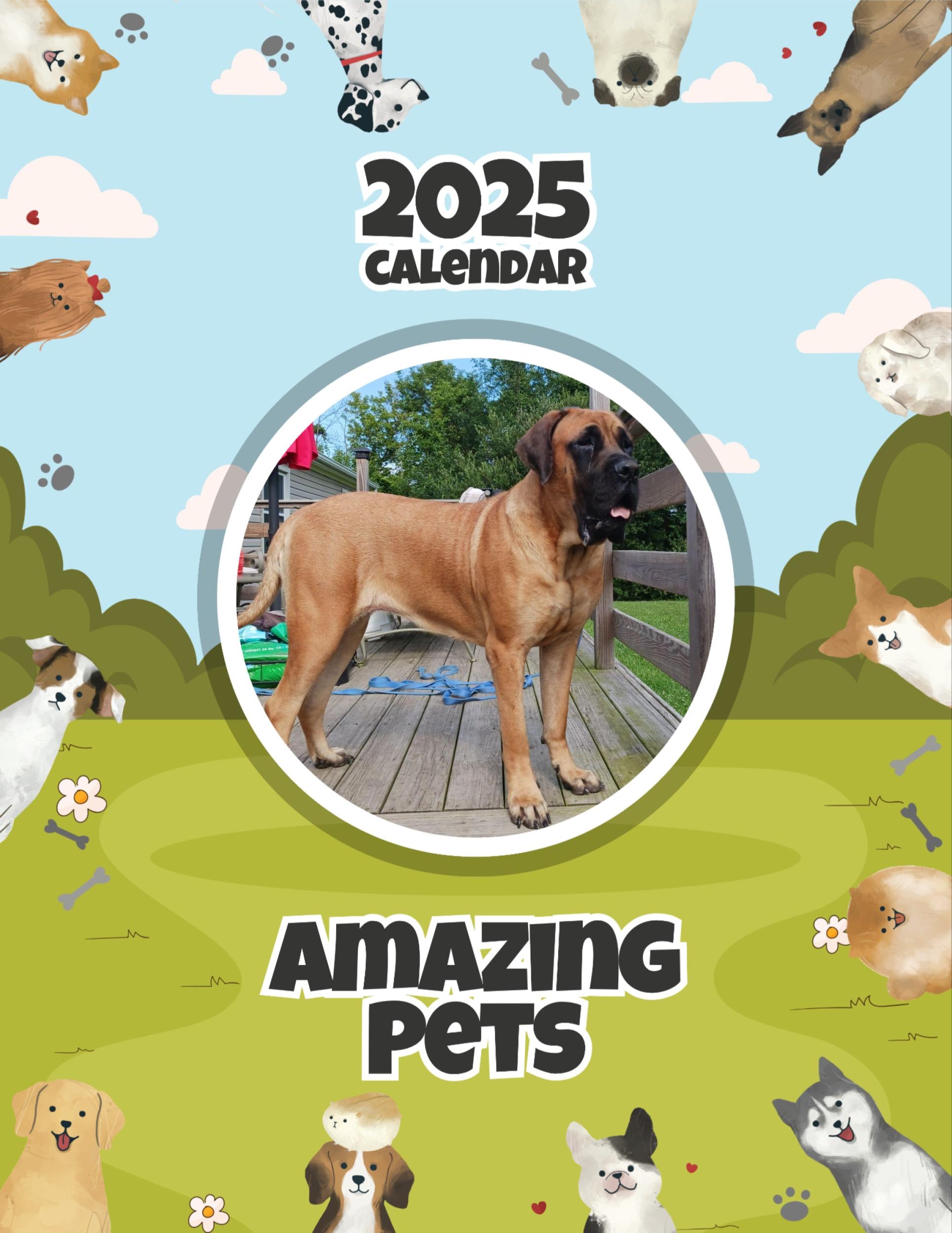 Amazing Pets: 2025 Wall Calendar (Pre-Order)