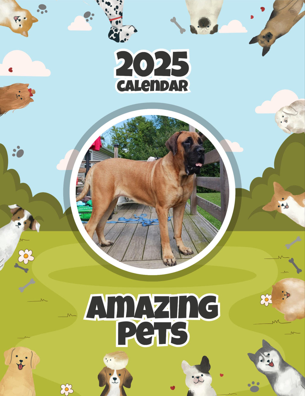 Amazing Pets: 2025 Wall Calendar (Pre-Order)