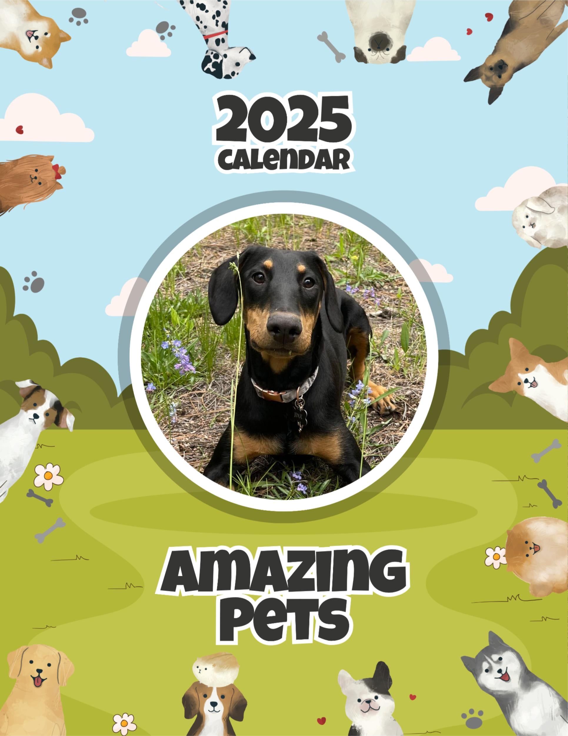Amazing Pets: 2025 Wall Calendar (Pre-Order)