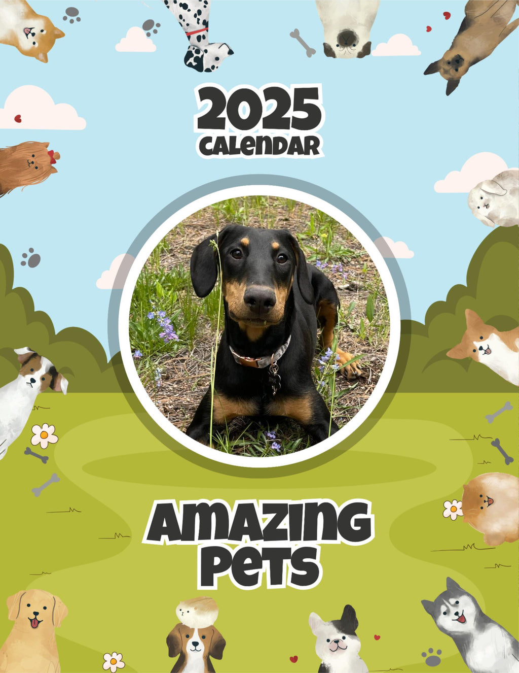 Amazing Pets: 2025 Wall Calendar (Pre-Order)