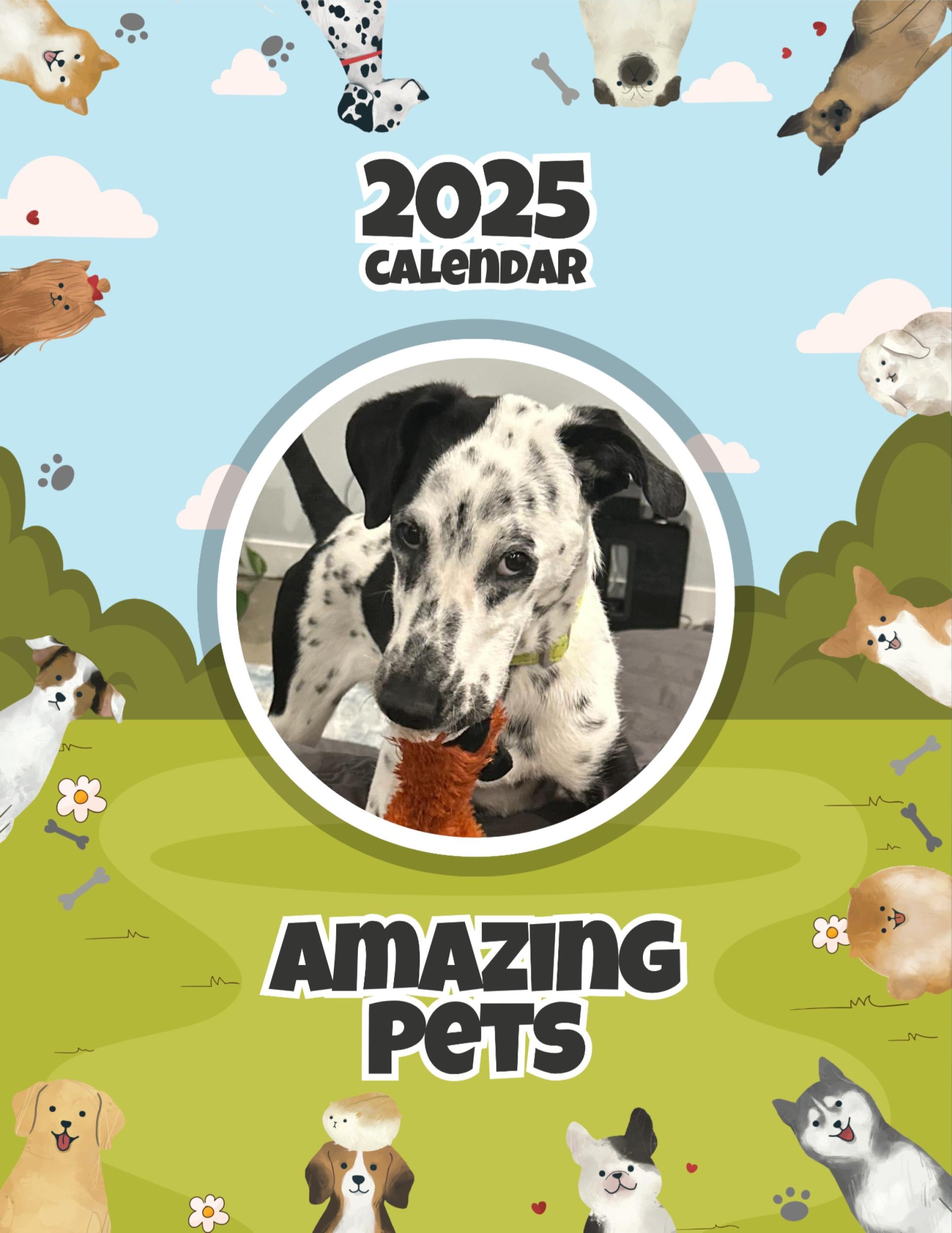 Amazing Pets: 2025 Wall Calendar (Pre-Order)