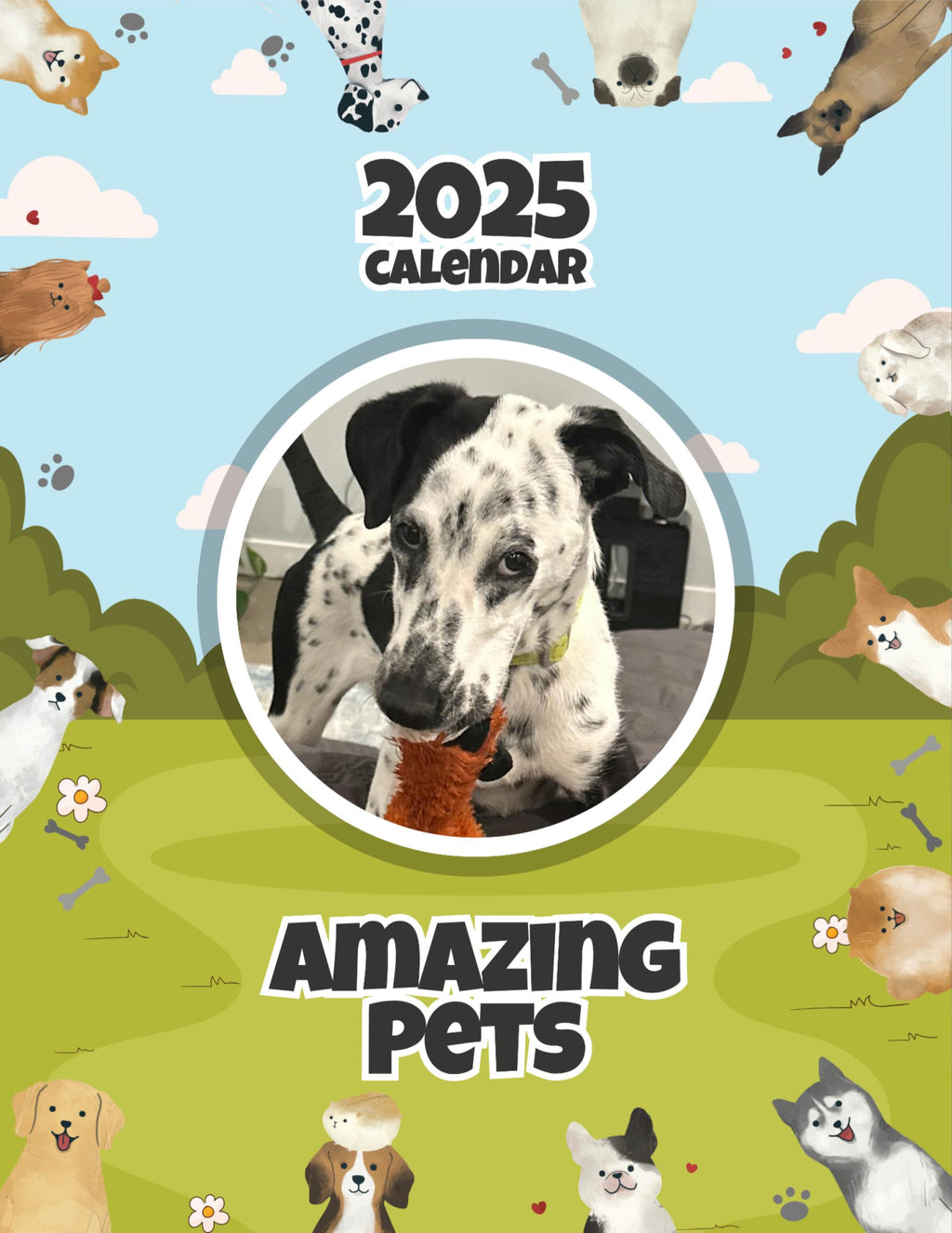 Amazing Pets: 2025 Wall Calendar (Pre-Order)