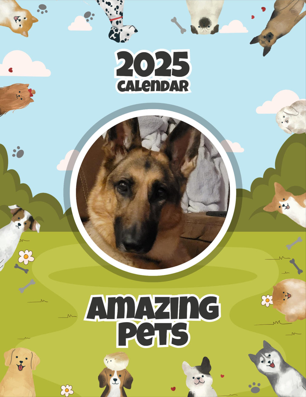 Amazing Pets: 2025 Wall Calendar (Pre-Order)