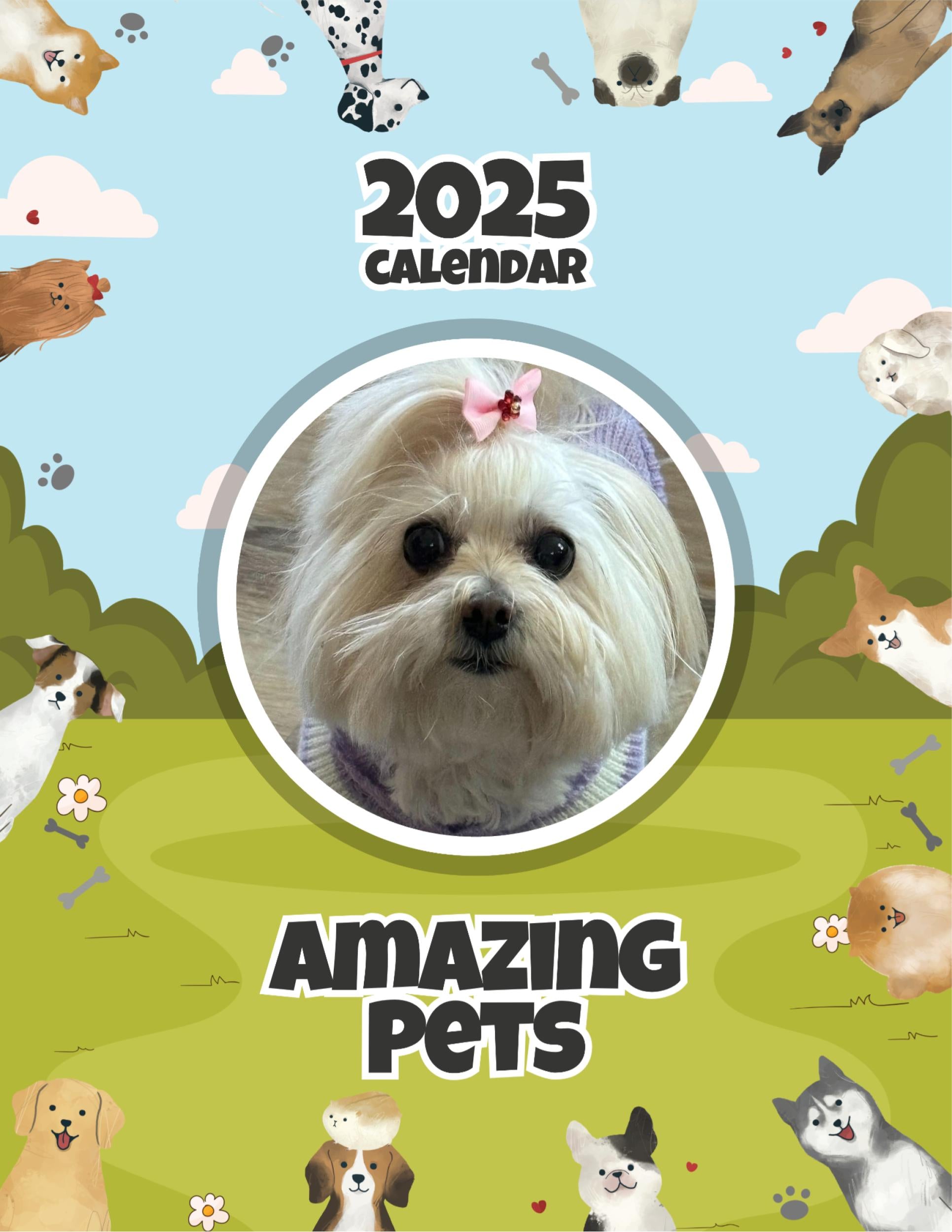 Amazing Pets: 2025 Wall Calendar (Pre-Order)