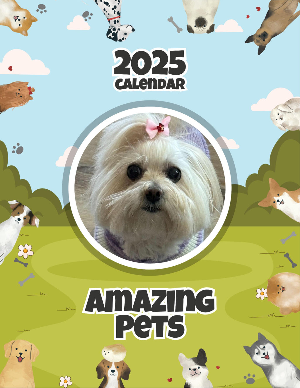 Amazing Pets: 2025 Wall Calendar (Pre-Order)