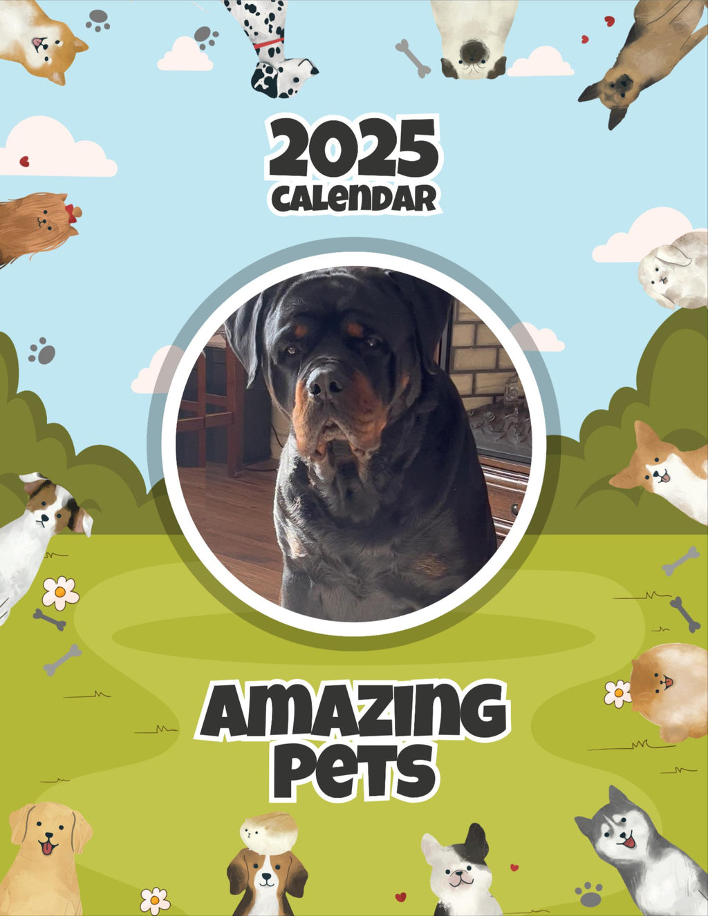 Amazing Pets: 2025 Wall Calendar (Pre-Order)