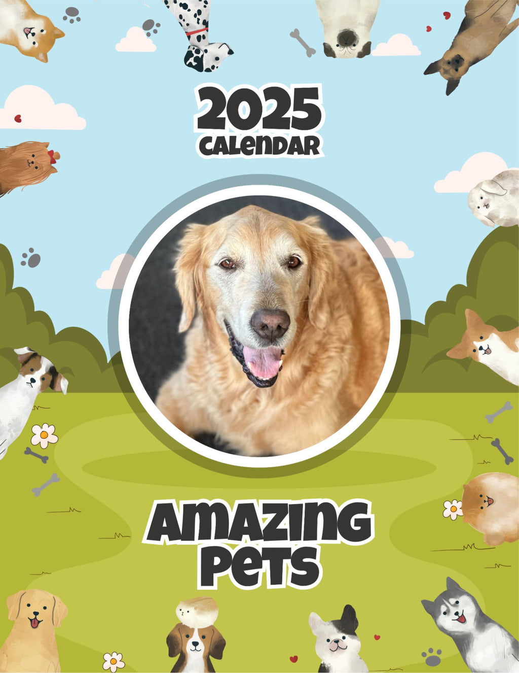 Amazing Pets: 2025 Wall Calendar (Pre-Order)
