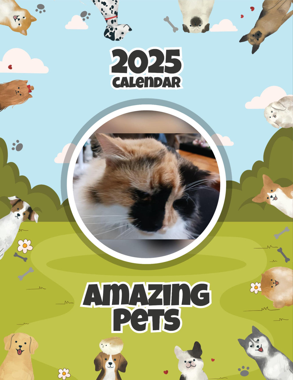 Amazing Pets: 2025 Wall Calendar (Pre-Order)