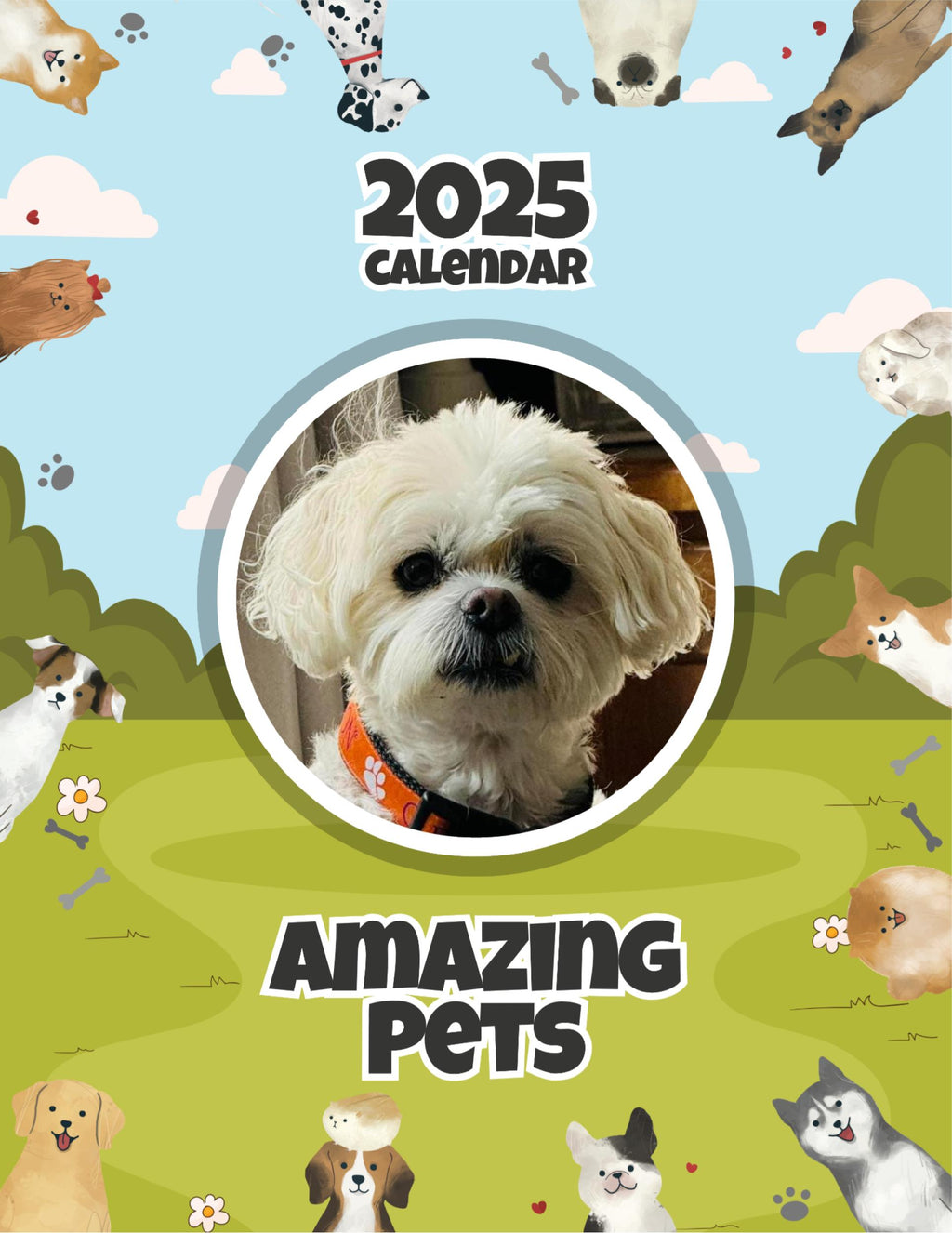 Amazing Pets: 2025 Wall Calendar (Pre-Order)