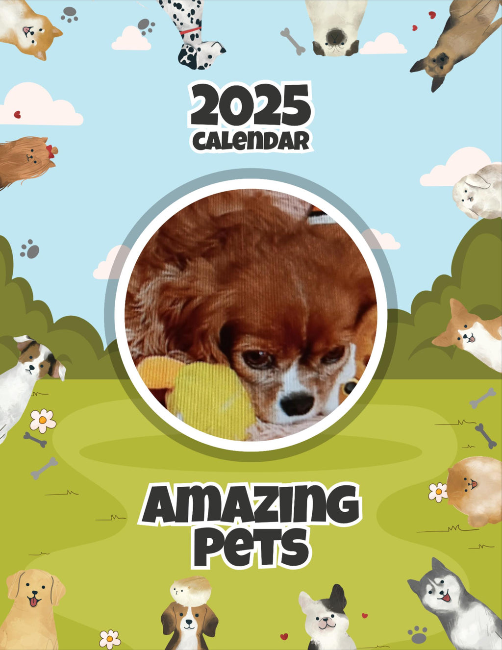 Amazing Pets: 2025 Wall Calendar (Pre-Order)