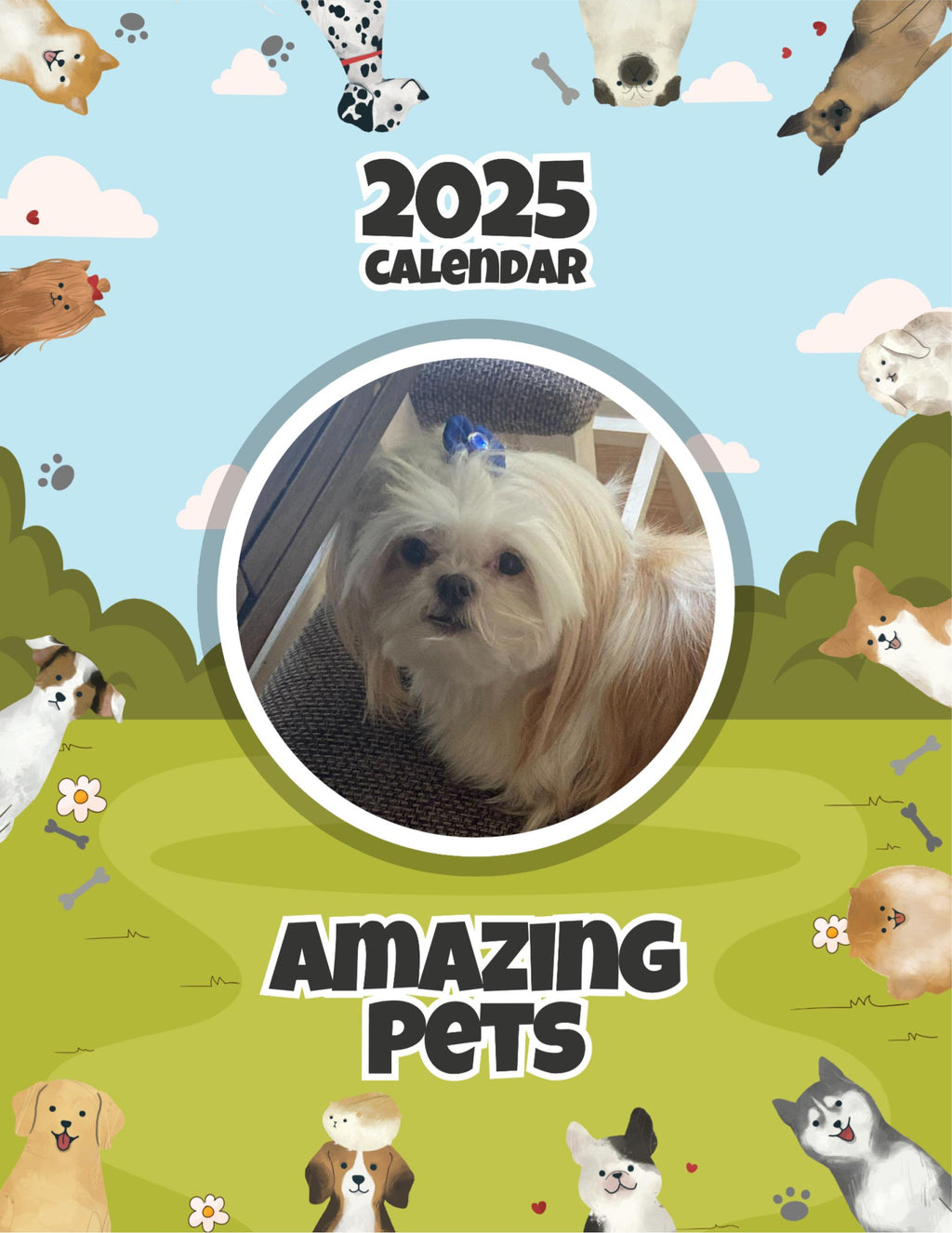 Amazing Pets: 2025 Wall Calendar (Pre-Order)