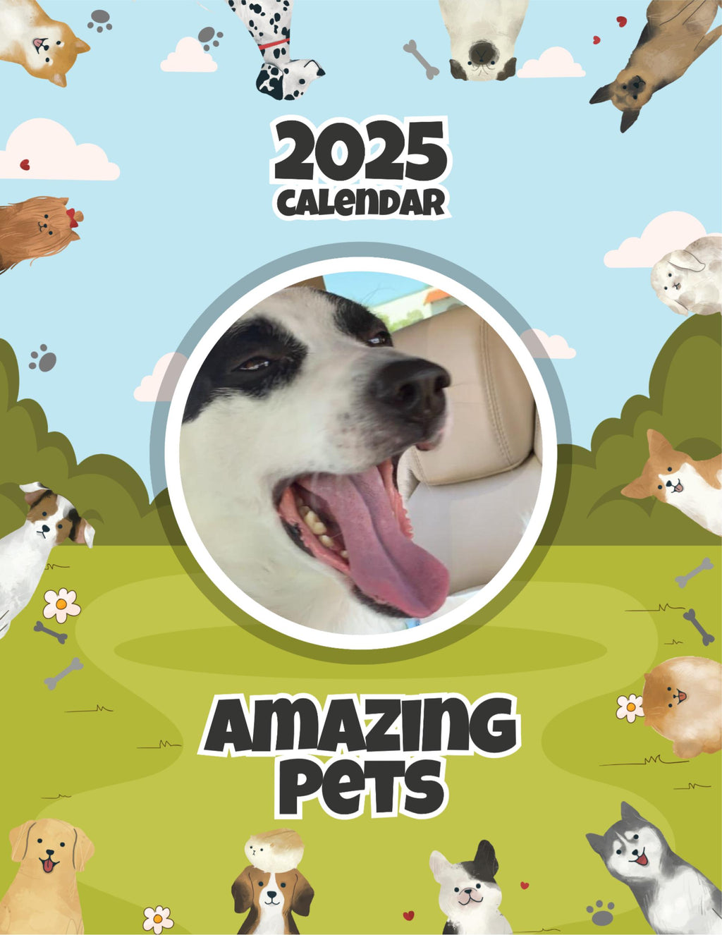 Amazing Pets: 2025 Wall Calendar (Pre-Order)