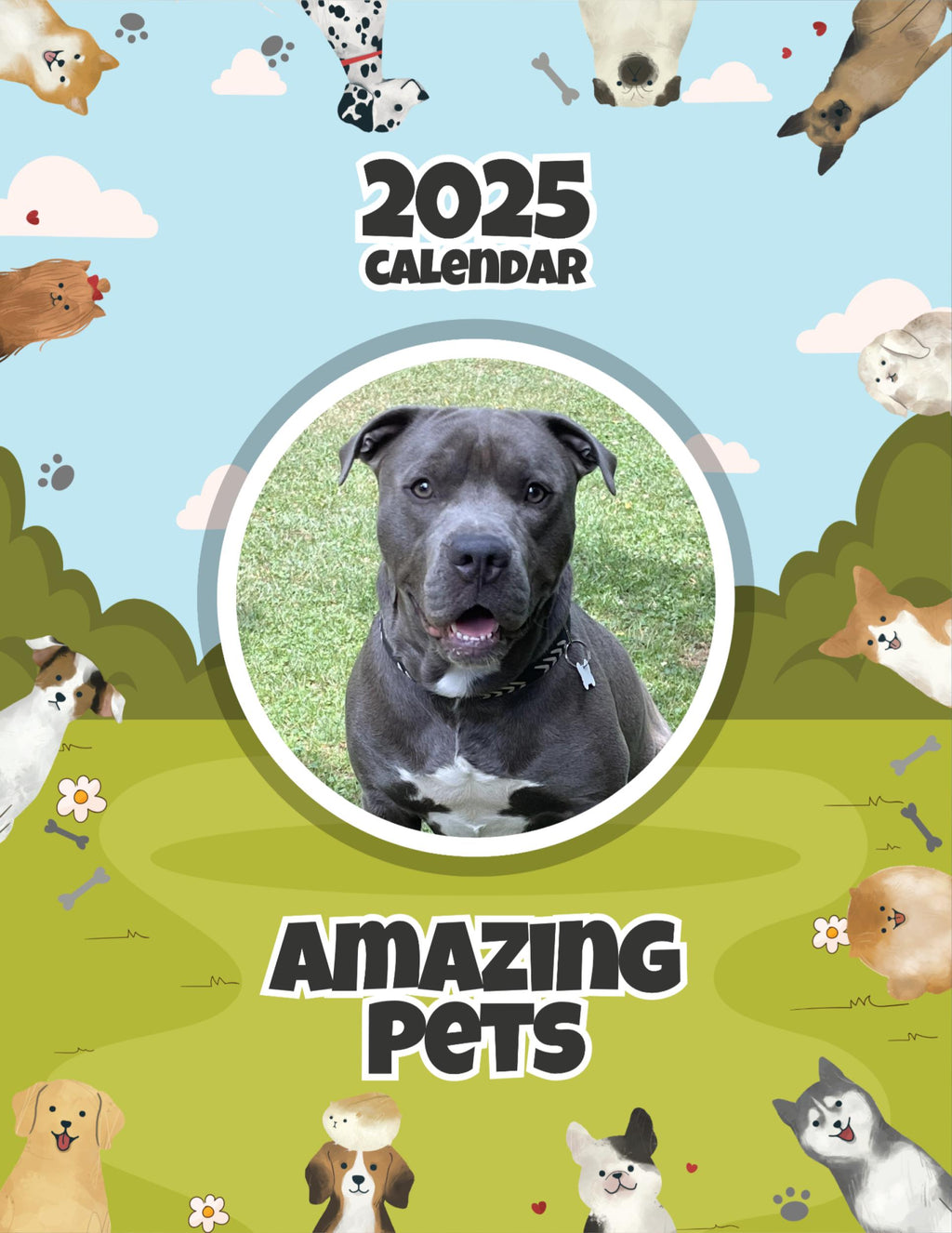 Amazing Pets: 2025 Wall Calendar (Pre-Order)