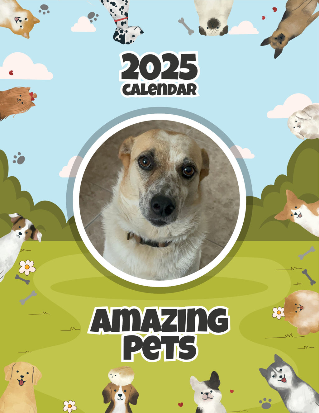 Amazing Pets: 2025 Wall Calendar (Pre-Order)