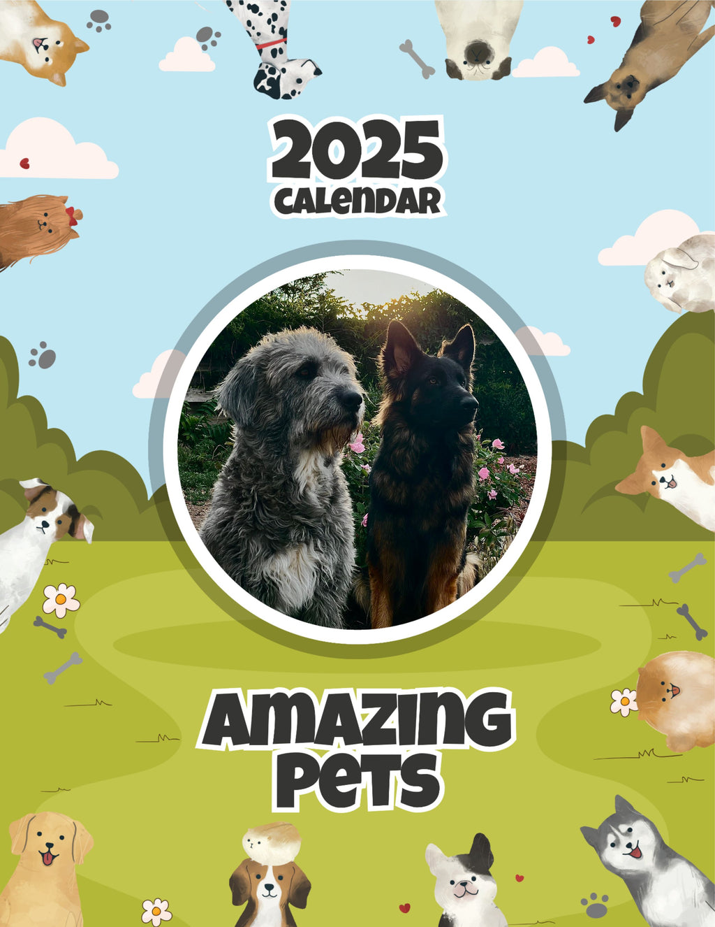 Amazing Pets: 2025 Wall Calendar (Pre-Order)