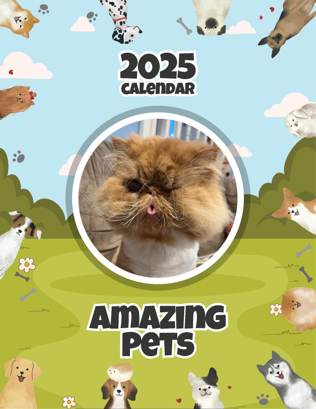 Amazing Pets: 2025 Wall Calendar (Pre-Order)