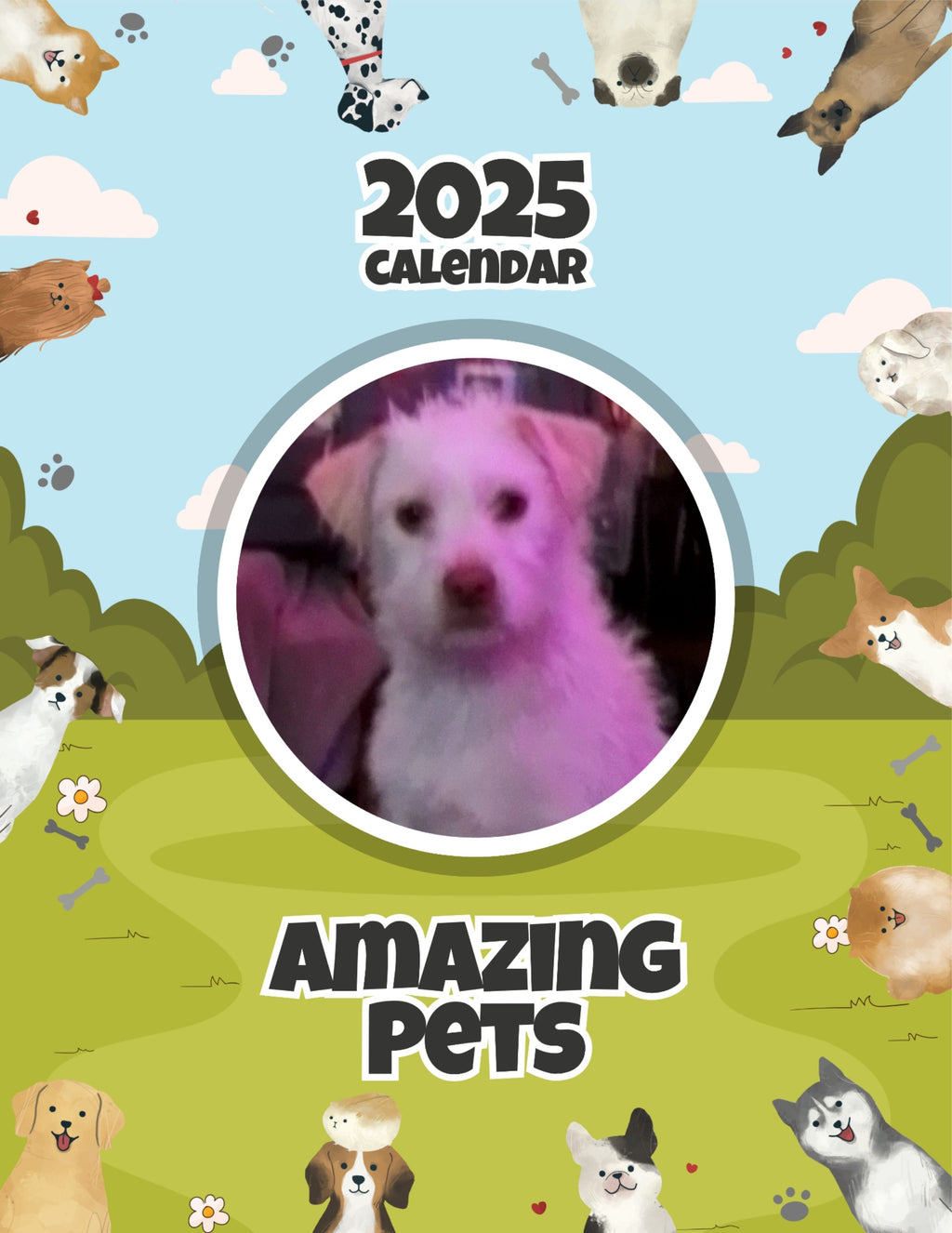 Amazing Pets: 2025 Wall Calendar (Pre-Order)