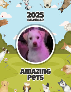 Amazing Pets: 2025 Wall Calendar (Pre-Order)