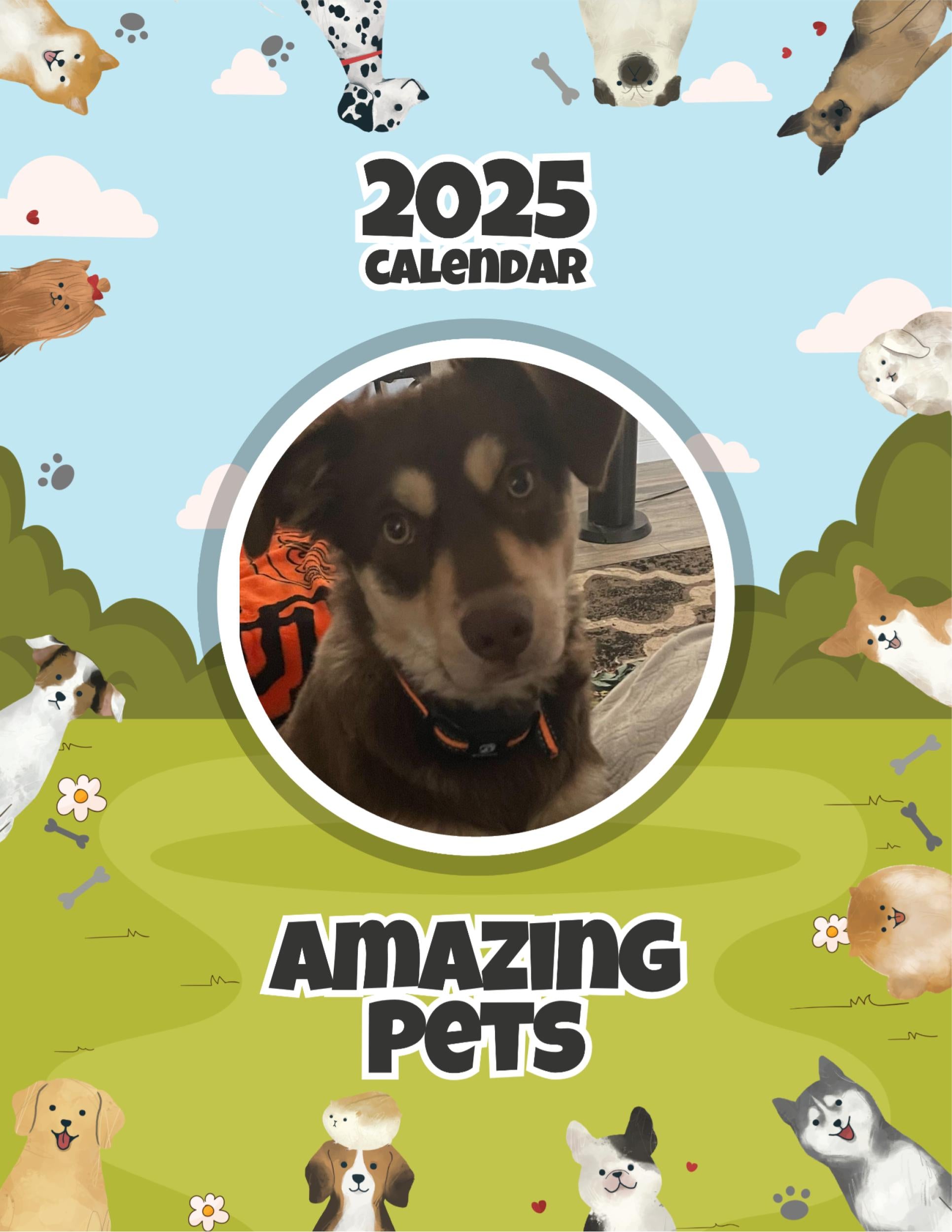 Amazing Pets: 2025 Wall Calendar (Pre-Order)
