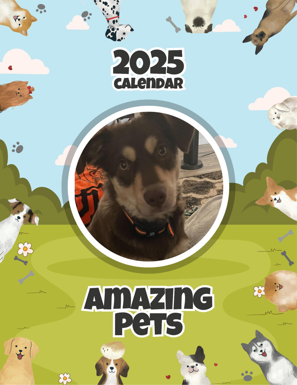 Amazing Pets: 2025 Wall Calendar (Pre-Order)