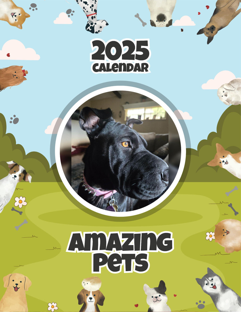 Amazing Pets: 2025 Wall Calendar (Pre-Order)