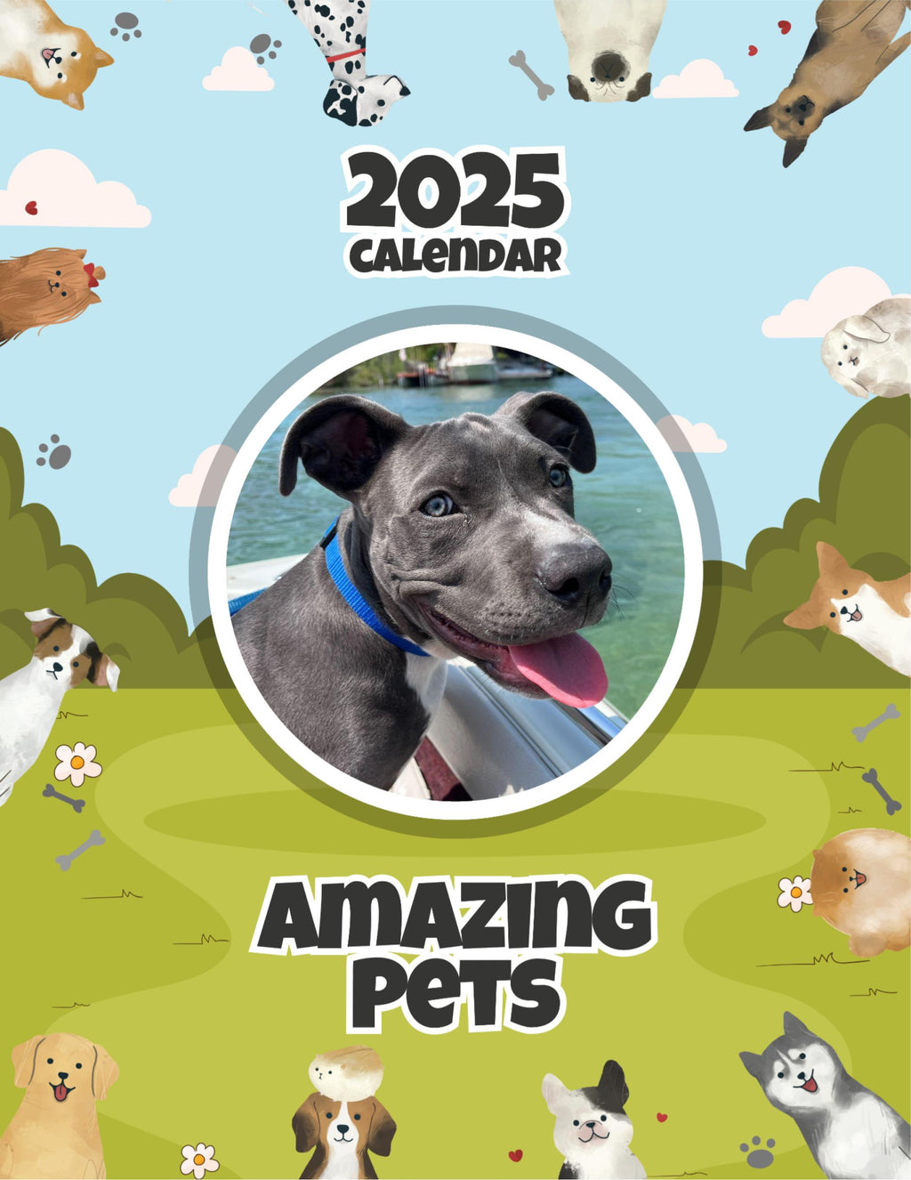 Amazing Pets: 2025 Wall Calendar (Pre-Order)