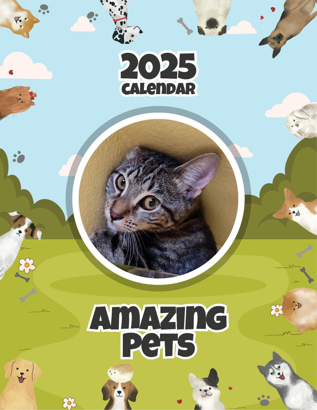 Amazing Pets: 2025 Wall Calendar (Pre-Order)