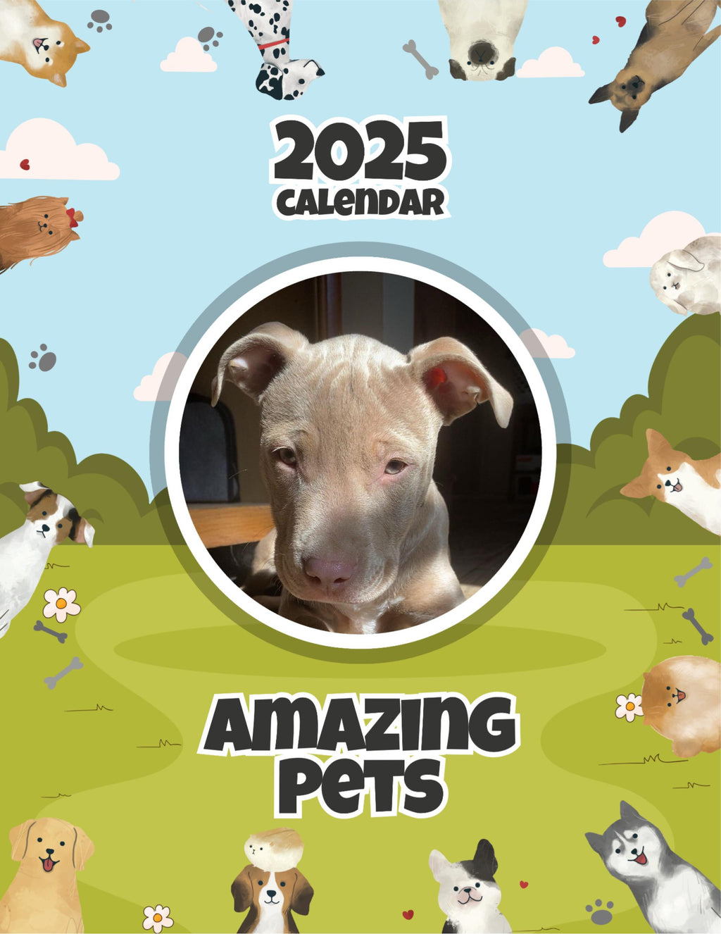 Amazing Pets: 2025 Wall Calendar (Pre-Order)