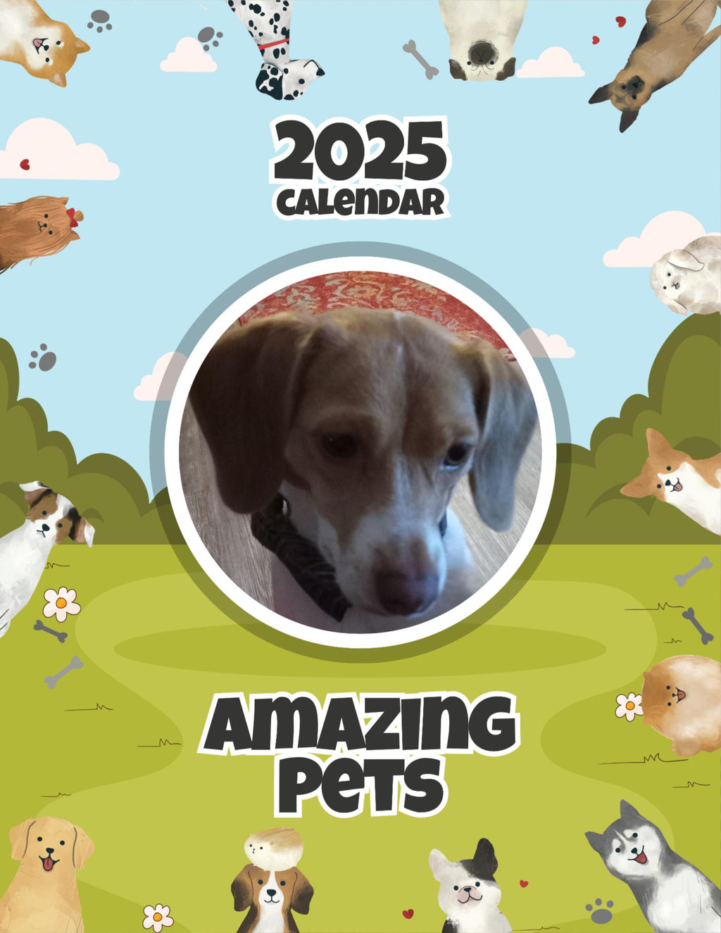 Amazing Pets: 2025 Wall Calendar (Pre-Order)