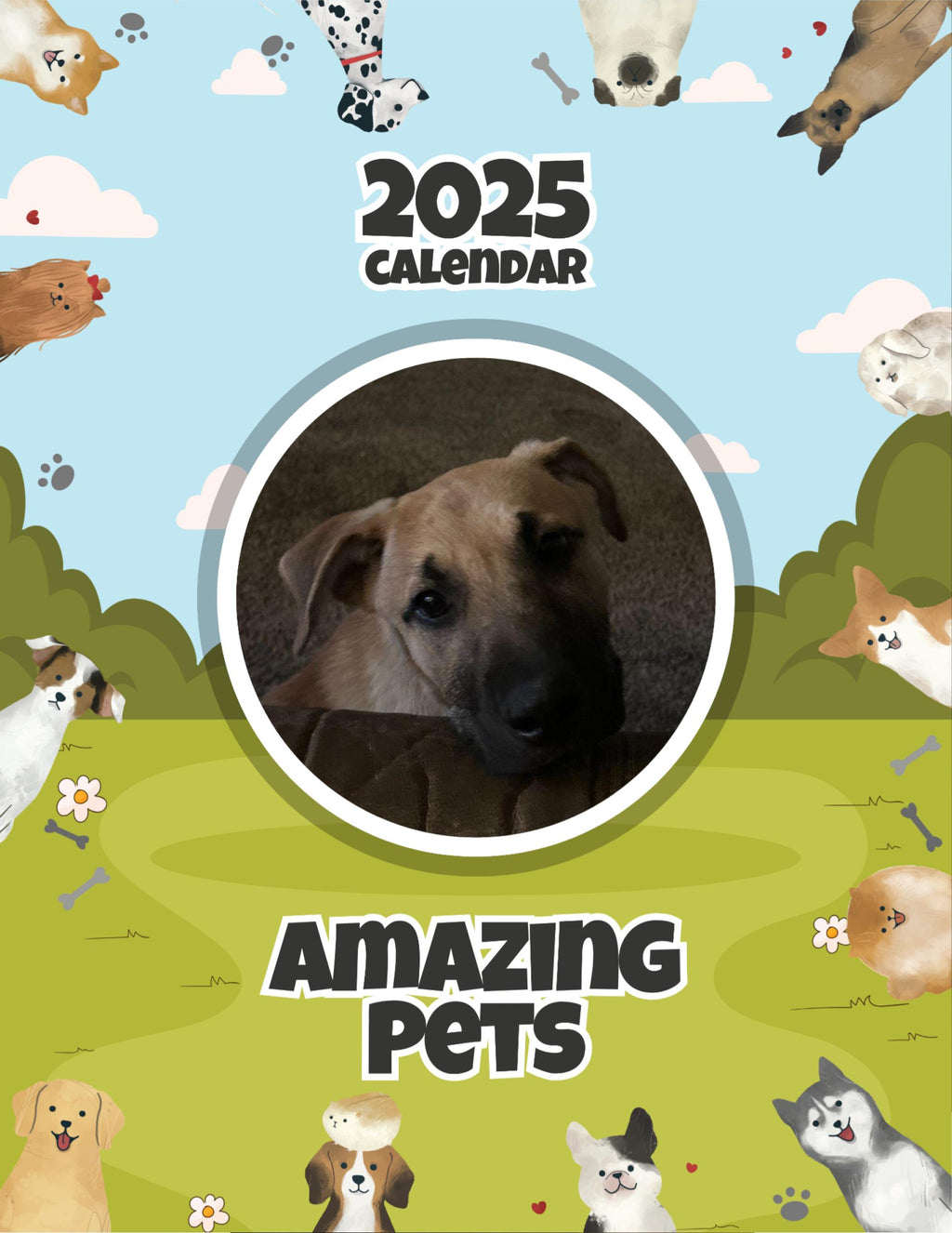 Amazing Pets: 2025 Wall Calendar (Pre-Order)