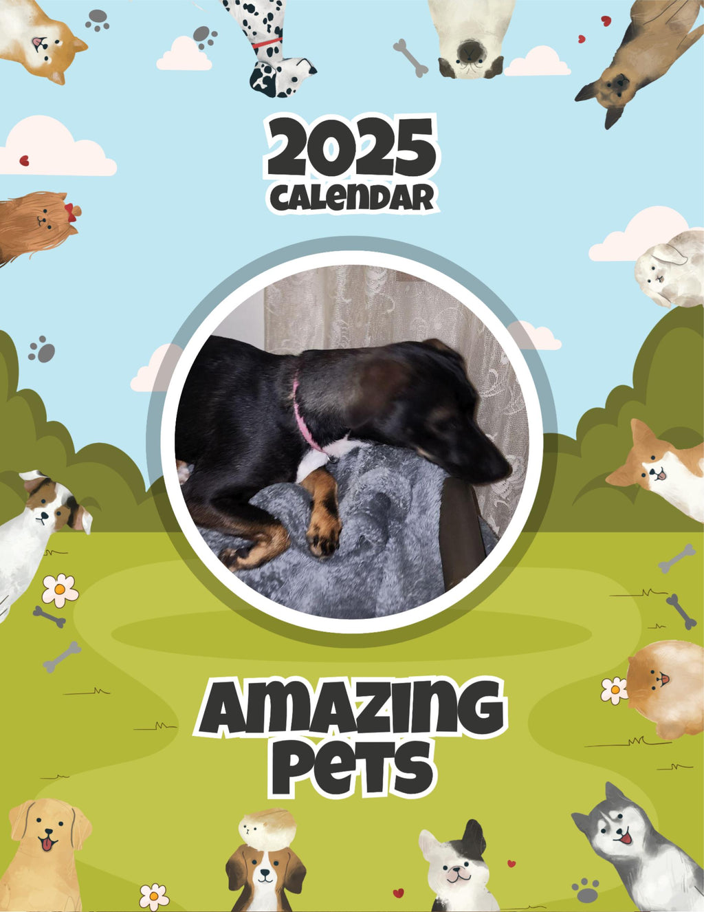 Amazing Pets: 2025 Wall Calendar (Pre-Order)
