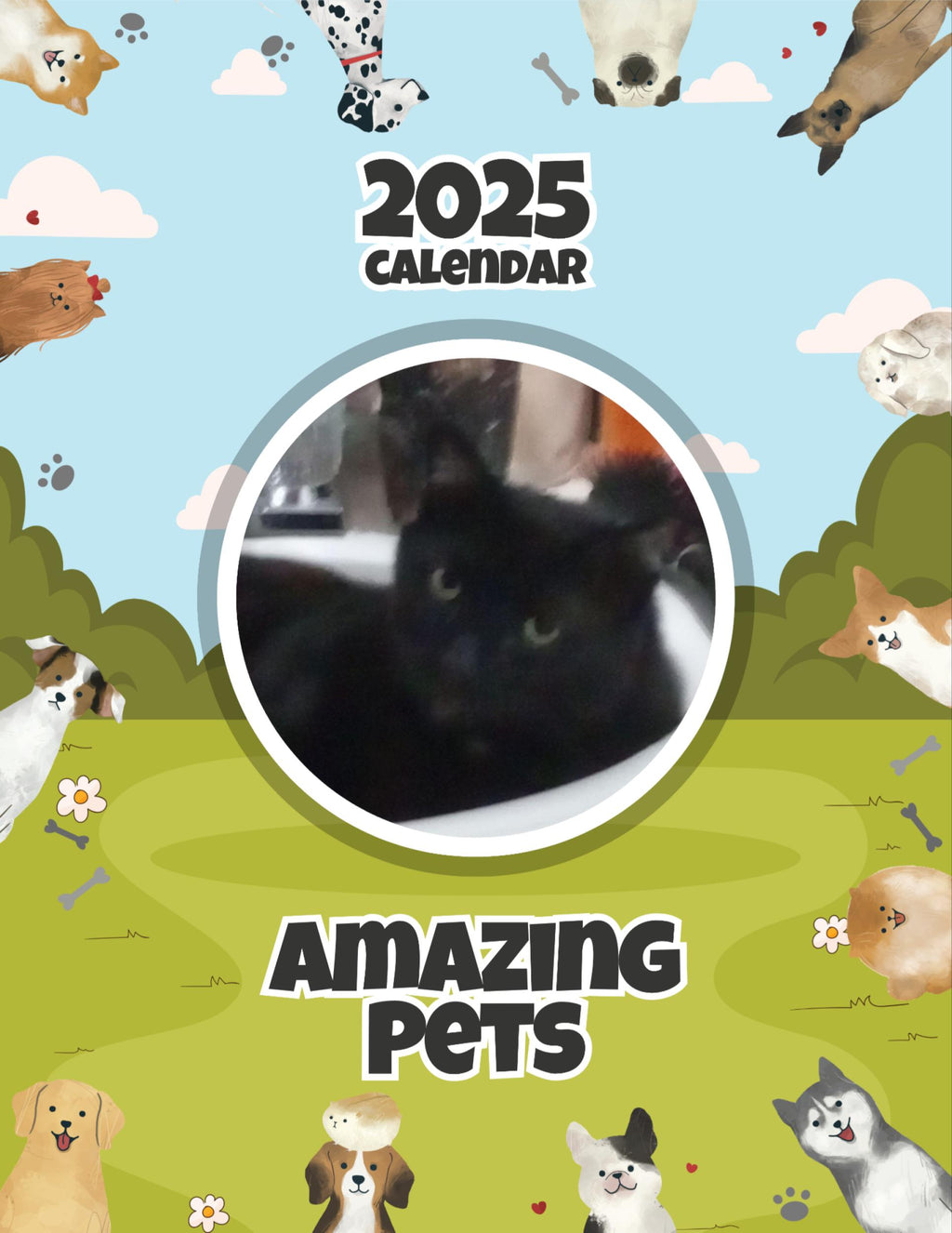 Amazing Pets: 2025 Wall Calendar (Pre-Order)
