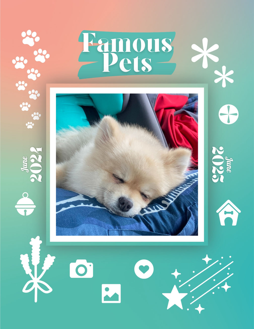 Famous Pets: June 2024-June 2025 Wall Calendar (Pre-Order)