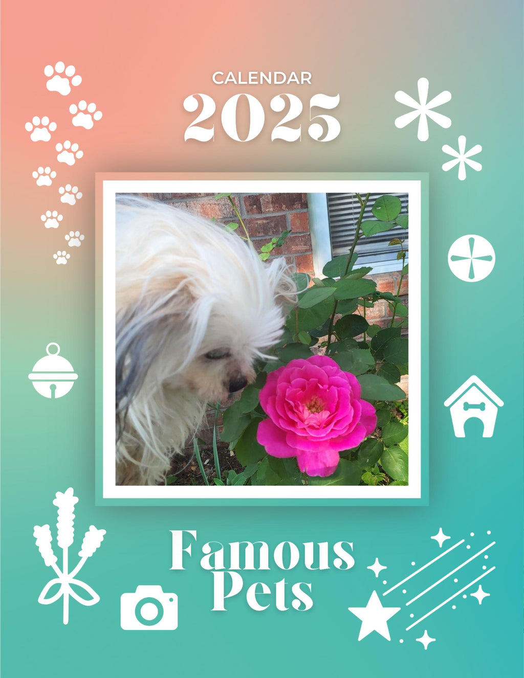 Famous Pets: July 2024-July 2025 Wall Calendar (Pre-Order)