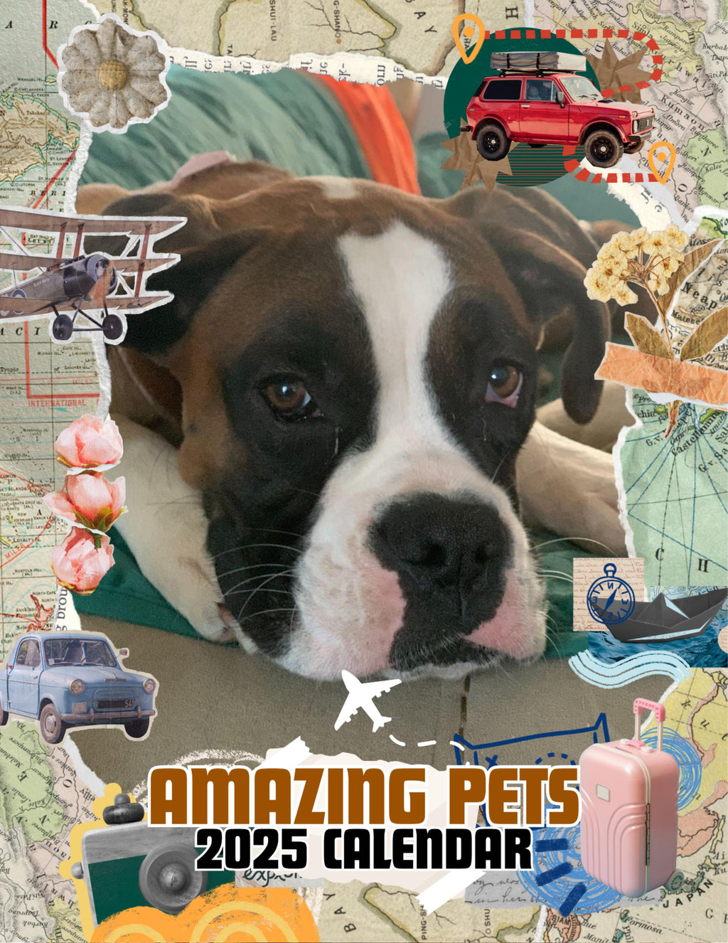 Amazing Pets: 2025 Wall Calendar (Pre-Order)