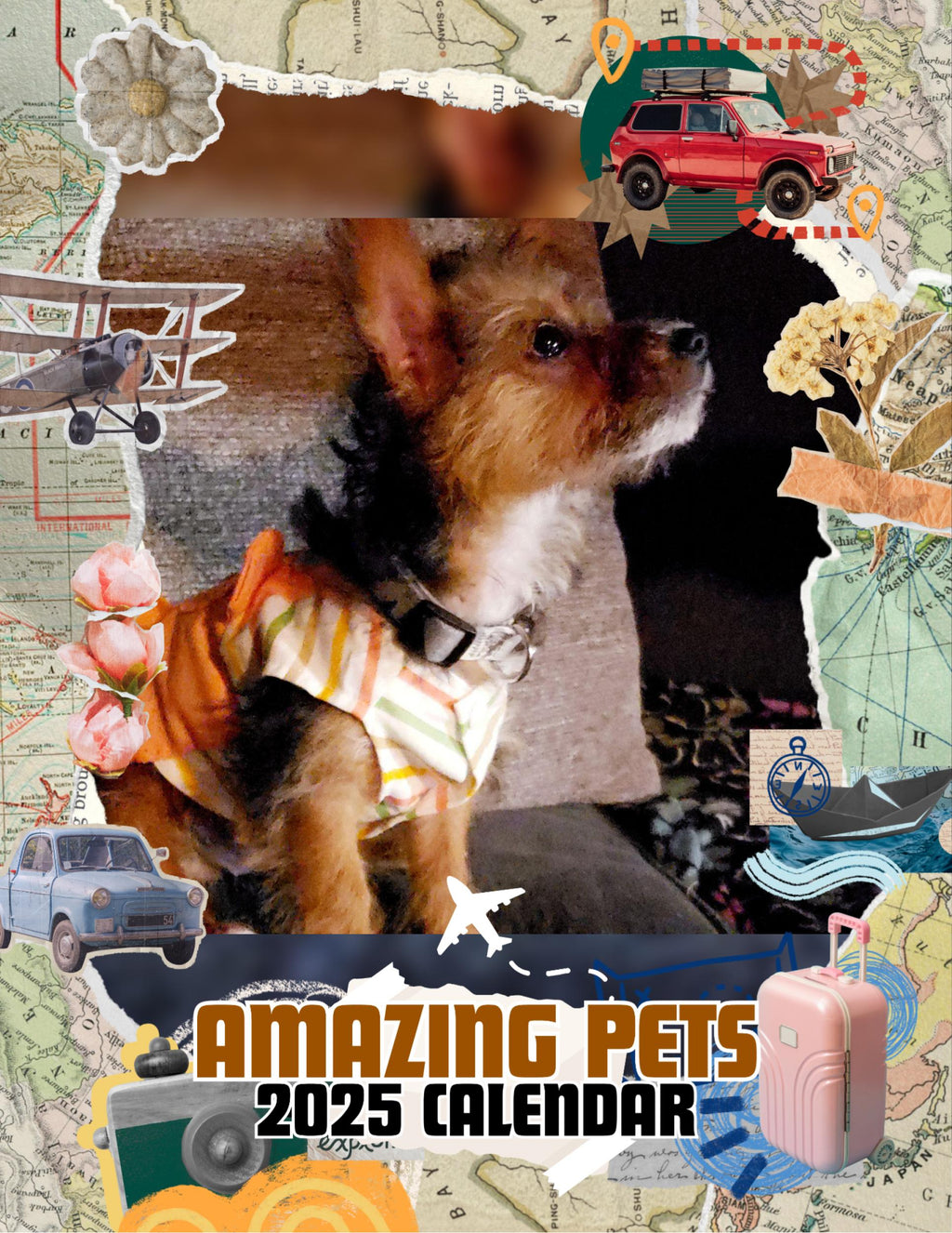 Amazing Pets: 2025 Wall Calendar (Pre-Order)